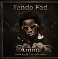 Amina cover art