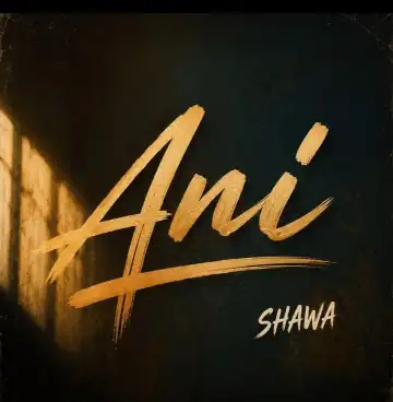 Ani cover art