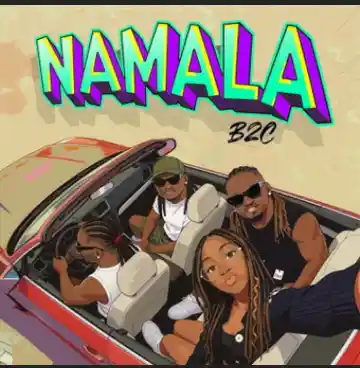 Namala cover art