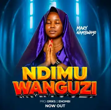 Ndimuwanguzi cover art