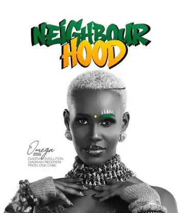 Neighbourhood cover art