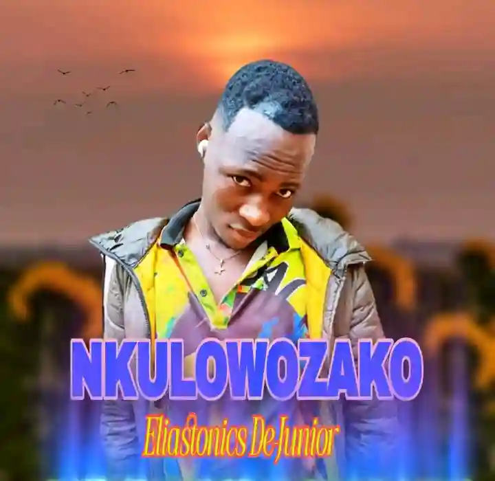 Nkulowozako cover art