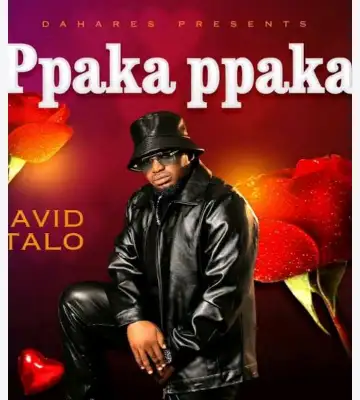 Ppaka Ppaka cover art