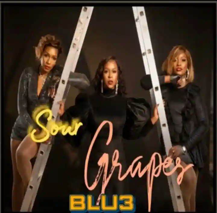 Sour Grapes cover art