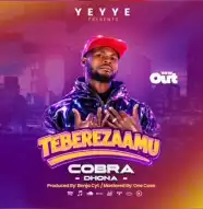 Teberezaamu cover art